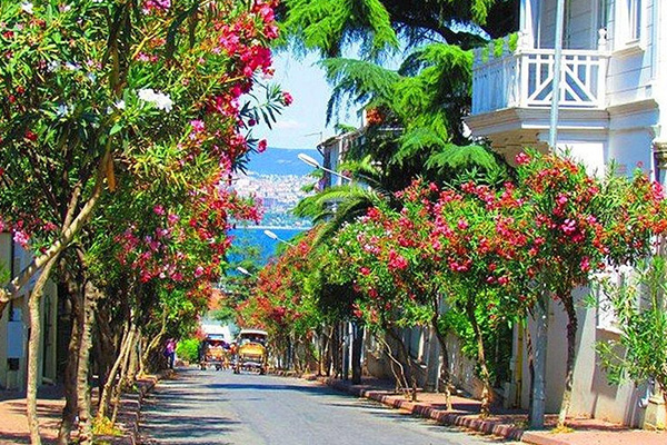 Princes’ Island